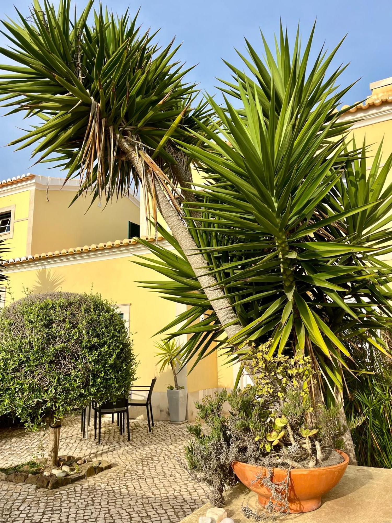 Pita'S House - Villa Sagres 2 Buitenkant foto